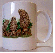 Morel Row Ceramic Coffee Cup