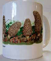   Full Color Morel Row Coffee  Mug