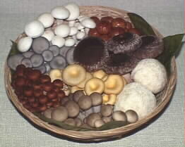 The Gourmet Mushroom Basket