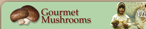 Gourmet Mushroom Products